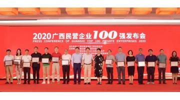 喜讯！尊龙凯时入选“2020广西民营企业100强”